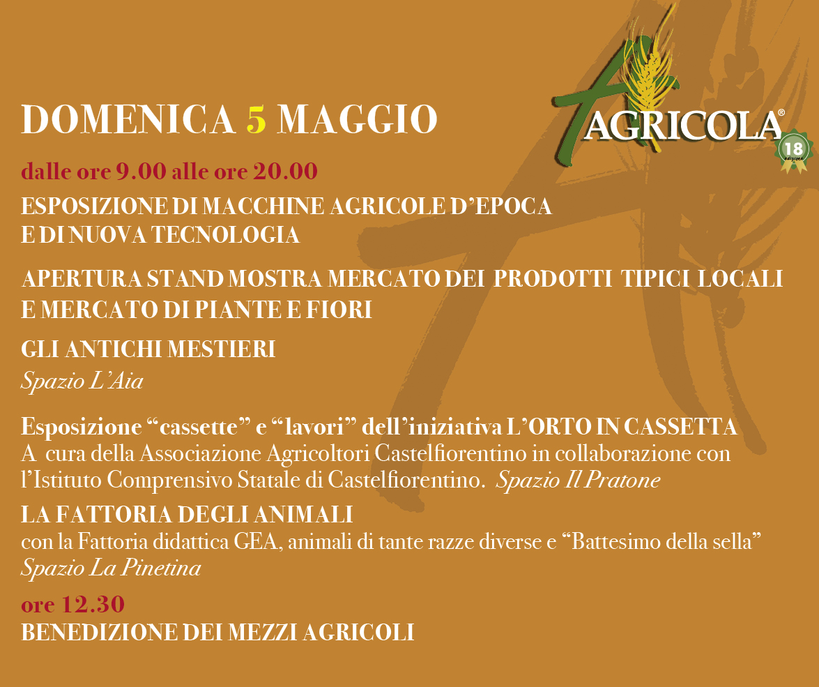 Programma di domenica 5 maggio, mattina