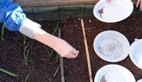 Le attività dell'iniziativa Orto in cassetta