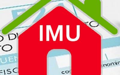 Logo IMU